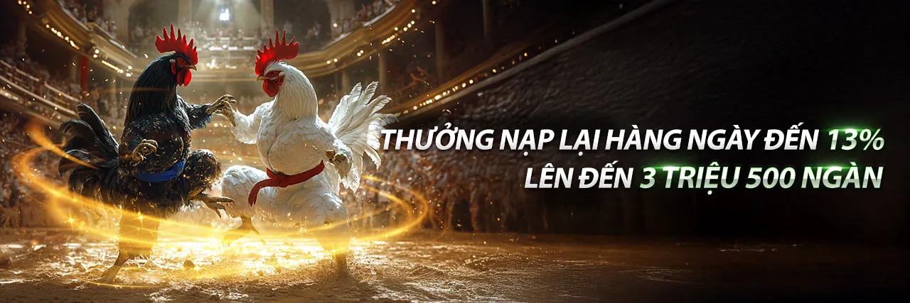 Đá gà trực tuyến febet link mới 2026